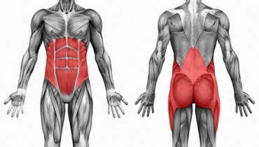 Core muscle exercise can prevent sore back